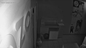 Caméra IP - Russian Federation