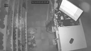 Caméra IP - Russian Federation