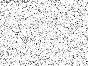 Caméra IP - États-Unis d'Amérique