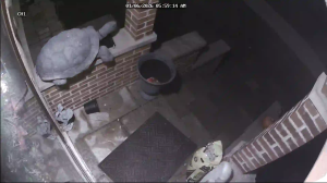 Caméra IP - États-Unis d'Amérique