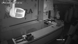 Caméra IP - Malaisie