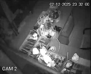 Caméra IP - Nordmazedonien