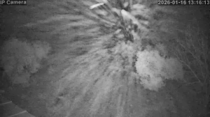 Caméra IP - Spanien