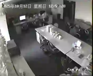 Caméra IP - China