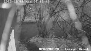 Caméra IP - Canadá