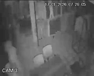 Caméra IP - Türkiye