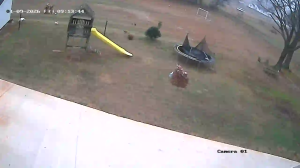 Caméra IP - United States of America