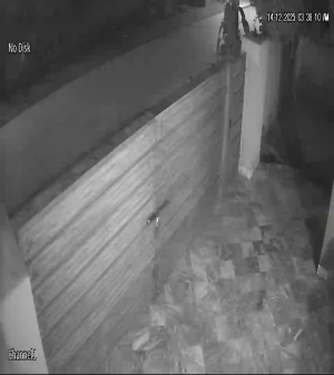 Caméra IP - Estados Unidos