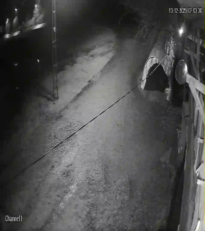 Caméra IP - Turquía