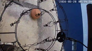 Caméra IP - Thailand