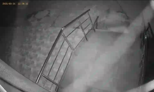 Caméra IP - Bulgaria