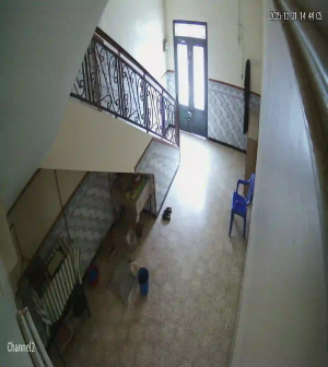 Caméra IP - Algerien