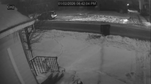 Caméra IP - United States of America