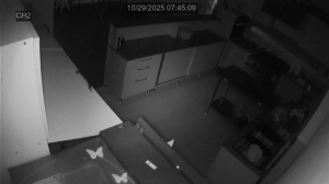 Caméra IP - Géorgie