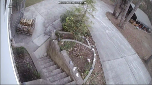 Caméra IP - United States of America