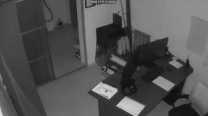 Caméra IP - Russian Federation