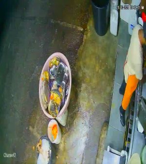 Caméra IP - Malaisie