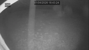 Caméra IP - United States of America