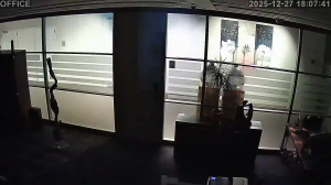 Caméra IP - Paesi Bassi