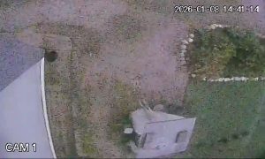 Caméra IP - Portogallo