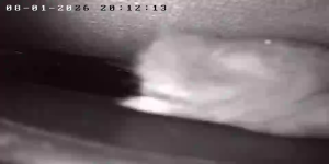 Caméra IP - Frankreich