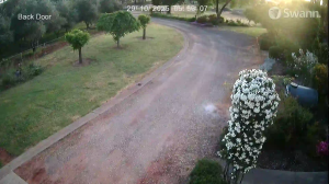 Caméra IP - Australia