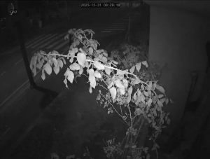 Caméra IP - Südkorea