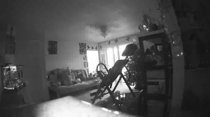 Caméra IP - États-Unis d'Amérique