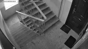 Caméra IP - Russian Federation