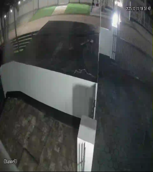 Caméra IP - Suriname