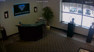 Caméra IP - Estados Unidos