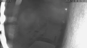 Caméra IP - Germany