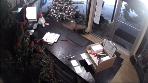 Caméra IP - Estados Unidos