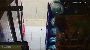 Caméra IP - México