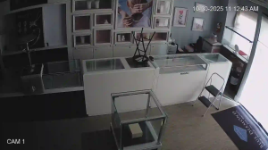 Caméra IP - United States of America