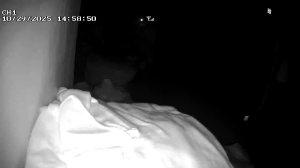 Caméra IP - Corea del Sud