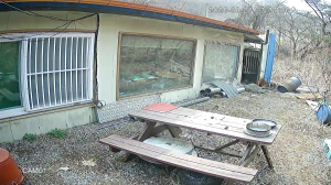 Caméra IP - Corea del Sud