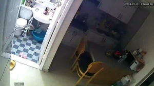 Caméra IP - Corée du Sud