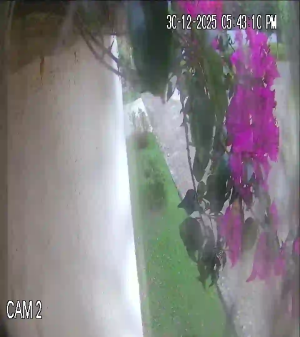 Caméra IP - Guatemala