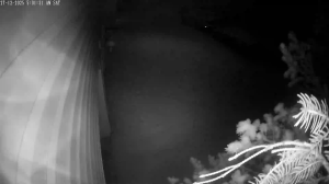 Caméra IP - United States of America