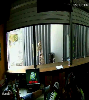 Caméra IP - Mexique