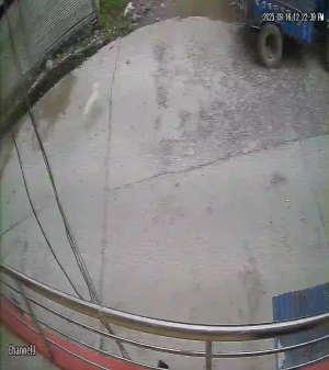 Caméra IP - Nepal