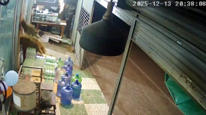 Caméra IP - Tailandia