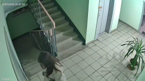 Caméra IP - Russian Federation