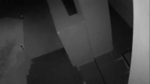 Caméra IP - Australia