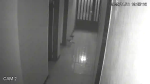 Caméra IP - Islamic Republic of Iran