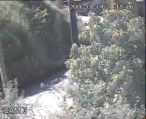 Caméra IP - Portugal