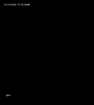 Caméra IP - United States of America