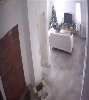 Caméra IP - Argentina