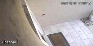 Caméra IP - Stati Uniti d'America